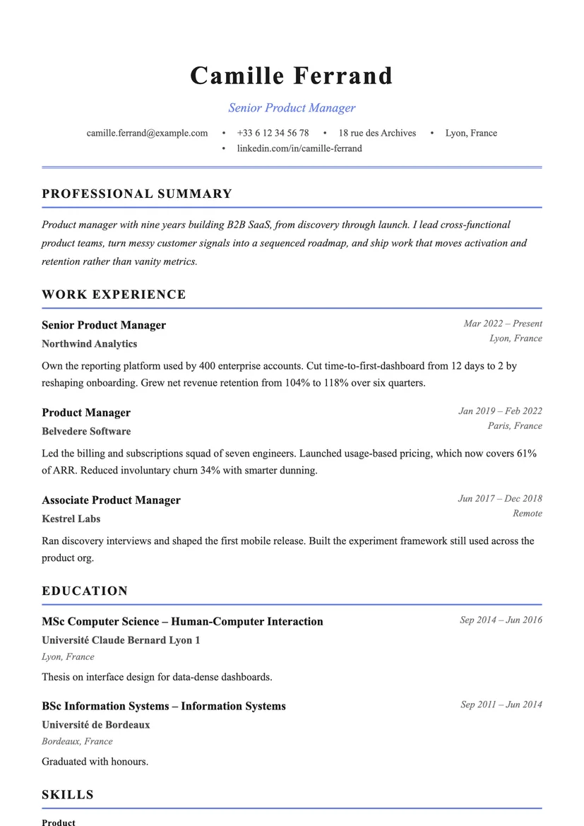 Preview of the Professional resume template